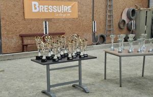 RÉCOMPENSE TROPHÉE  A BRESSUIRE