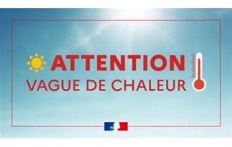 PLAN CANICULE